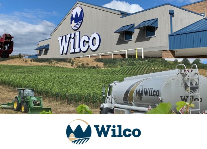 Media item displaying Home